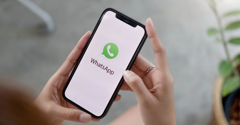NEW WhatsApp Chat Support for Applicants